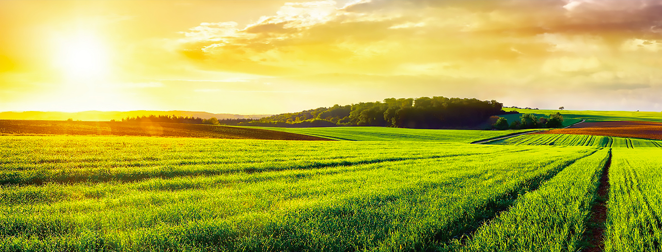 大宗貿(mào)易供應(yīng)鏈